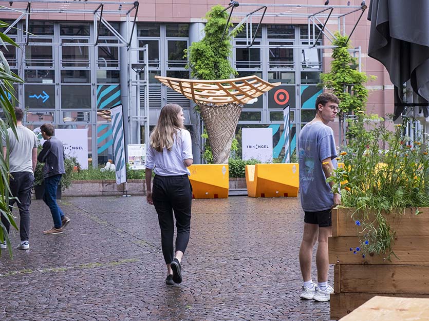 Dieses Bild zeigt dynamische junge Menschen auf dem begrünten Hof vor der Triangel.