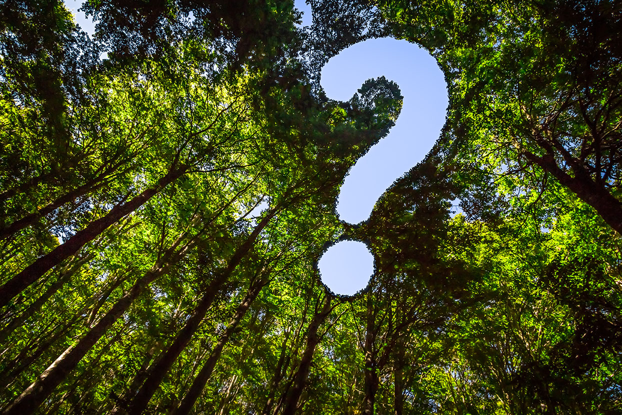 FAQ, Fragezeichen im Wald