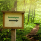 Waldweg mit Schild "Nachhaltigkeit" 