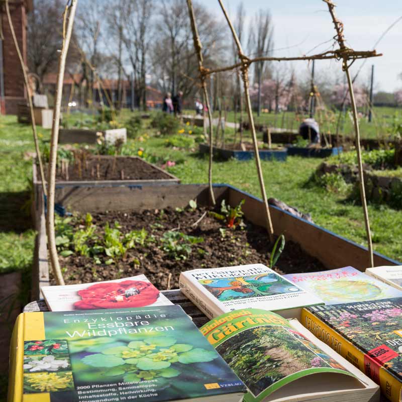 KAT Urban Gardening und Bücher